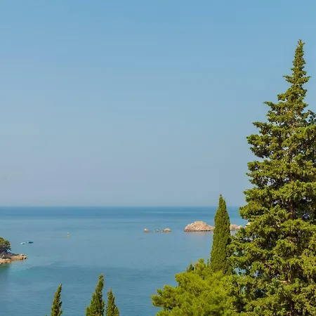 アパート Luxury Mr. Perfect